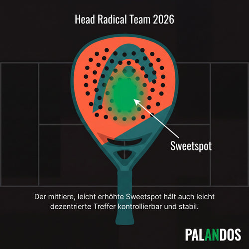 Head Radical Team 2026